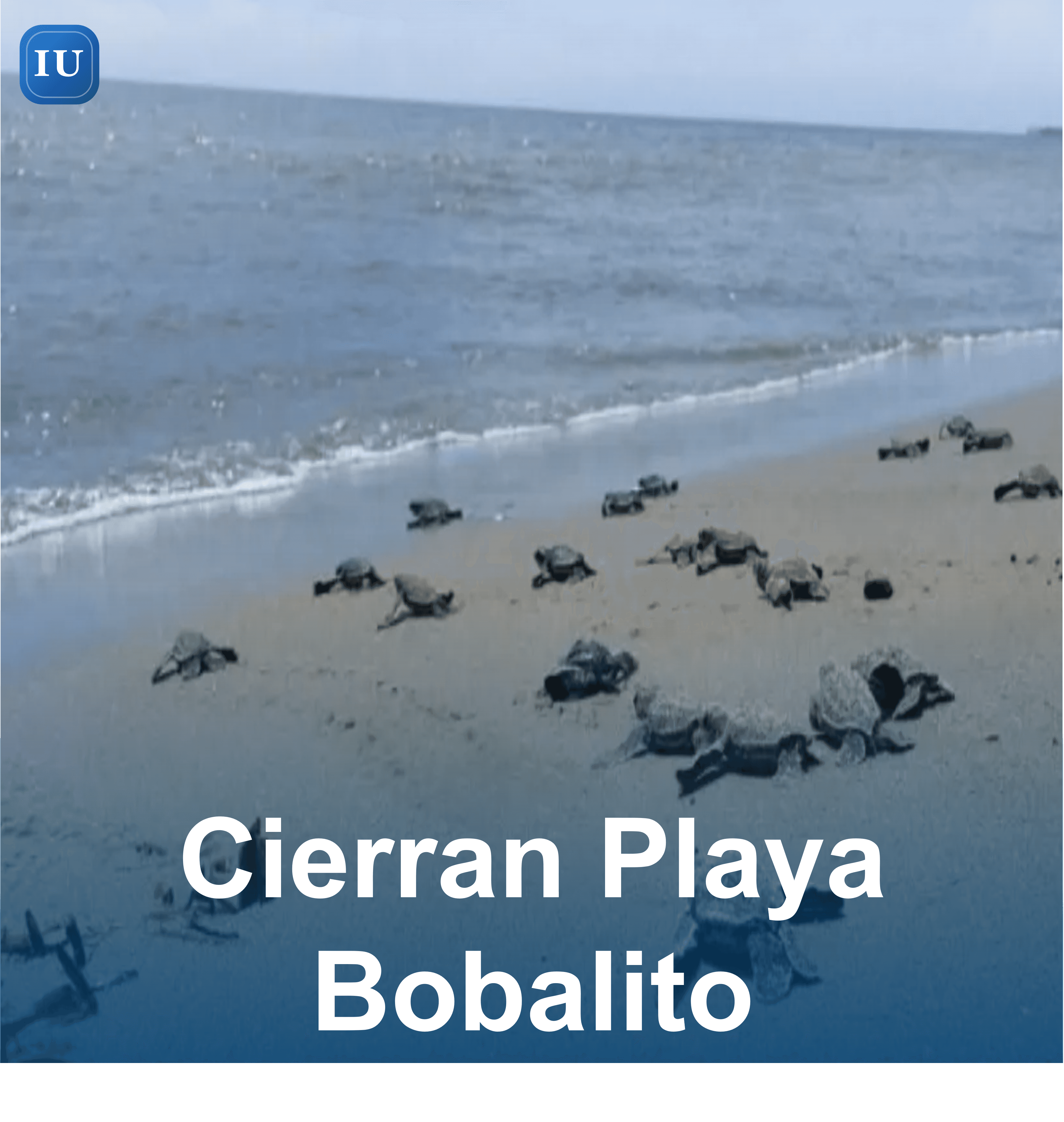 Cierran Playa Bobalito