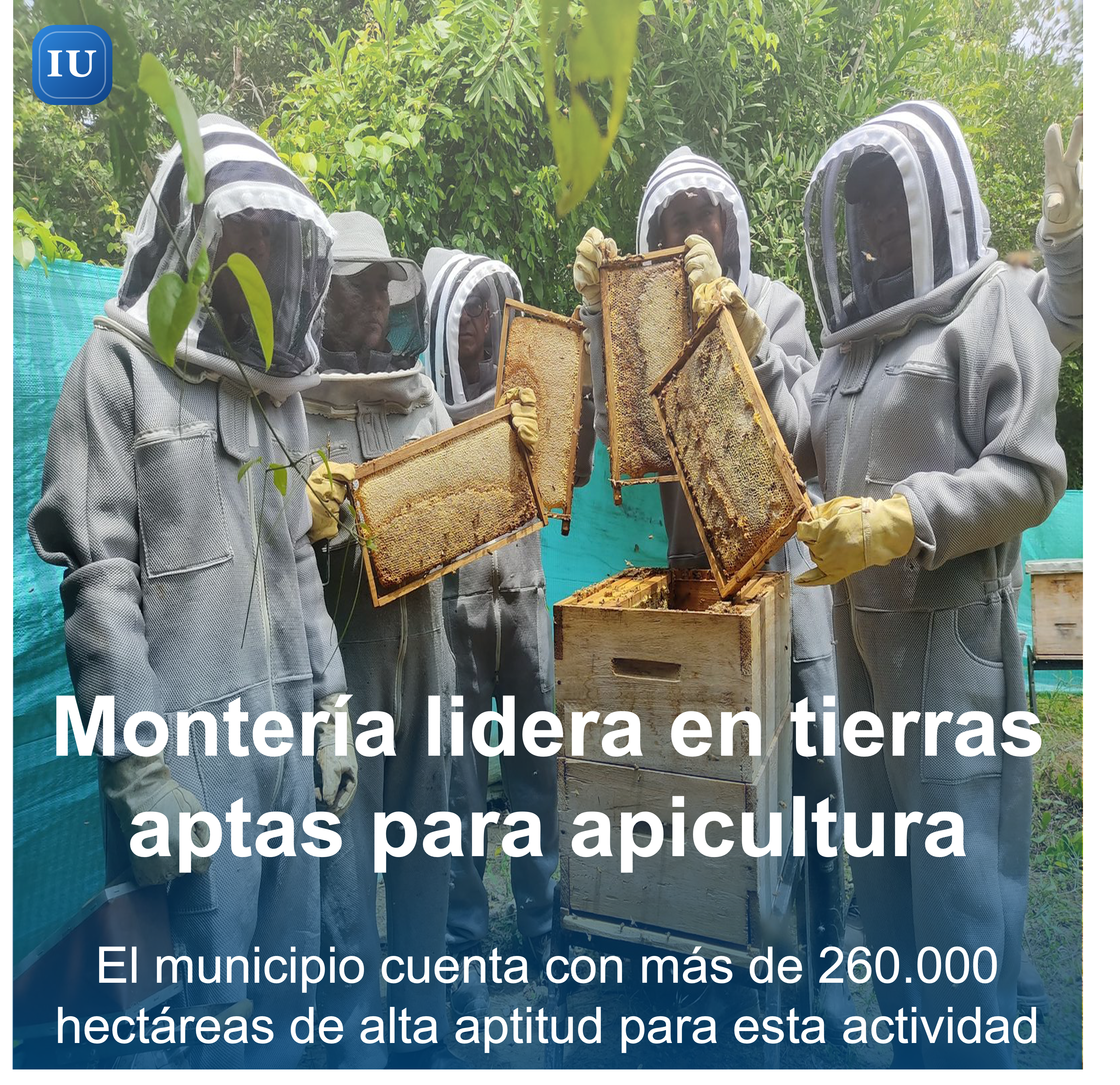 Imagen de noticia