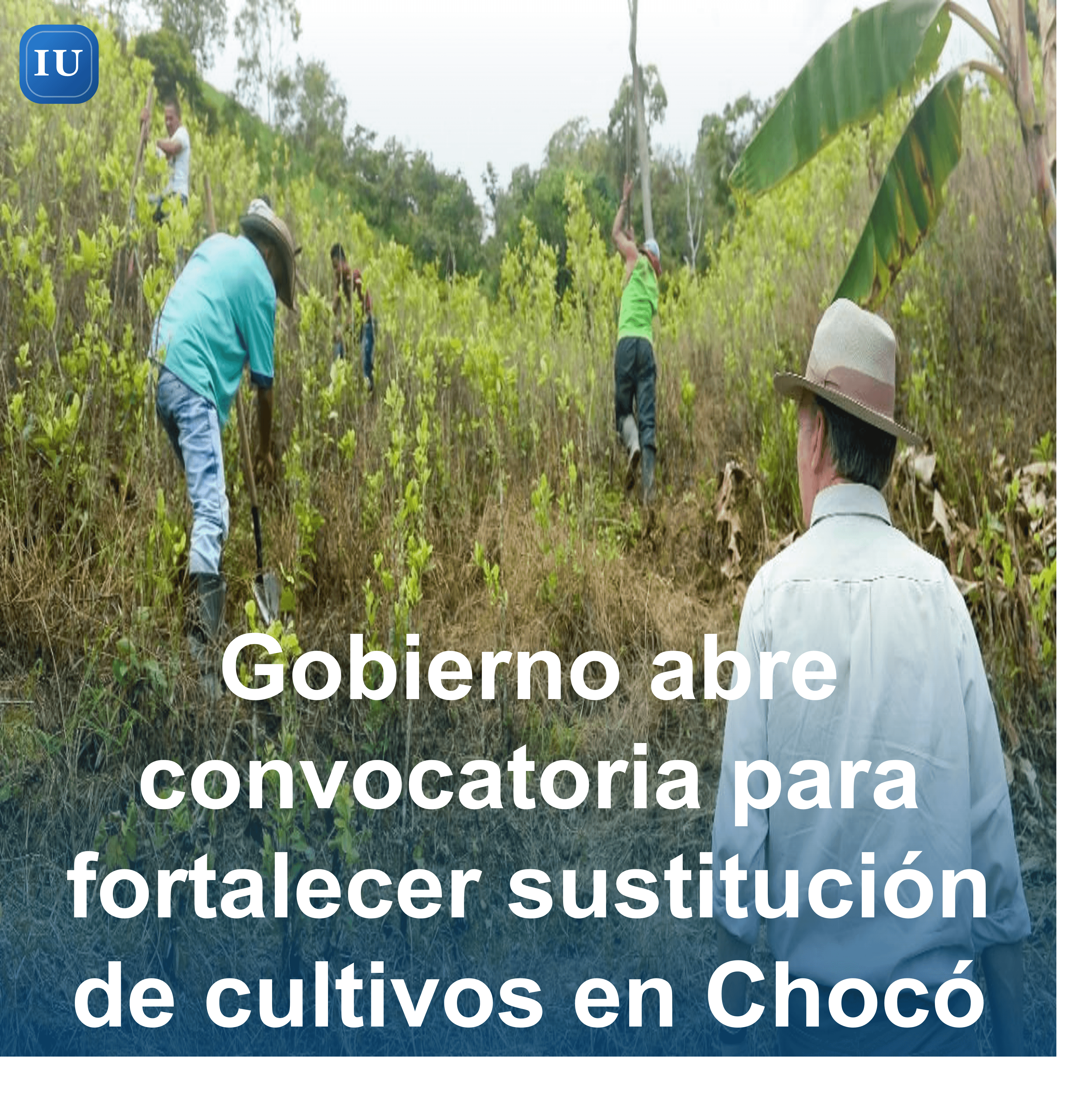 Imagen de noticia